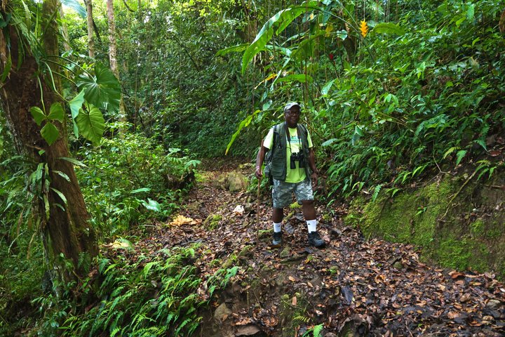 Hike to Montserrat's Hidden Dry Waterfall