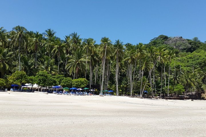 All Inclusive Catamaran Day Tour to Tortuga Island