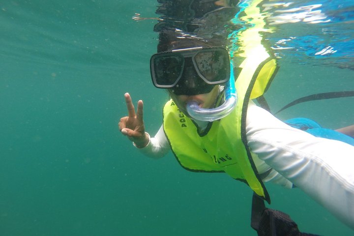 All Inclusive Catamaran Day Tour to Tortuga Island