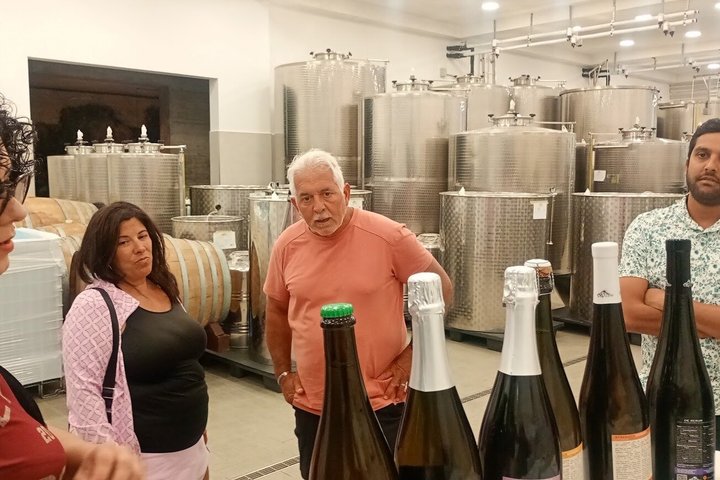 Etna Jeep OffRoad Tour: Lava Flows,Etna Wines,Lunch at 6,561 ft