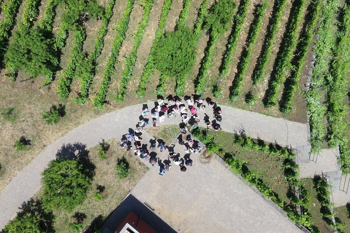 Etna Jeep OffRoad Tour: Lava Flows,Etna Wines,Lunch at 6,561 ft