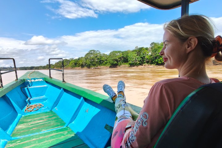 Parrots in Tambopata and search for sloths
