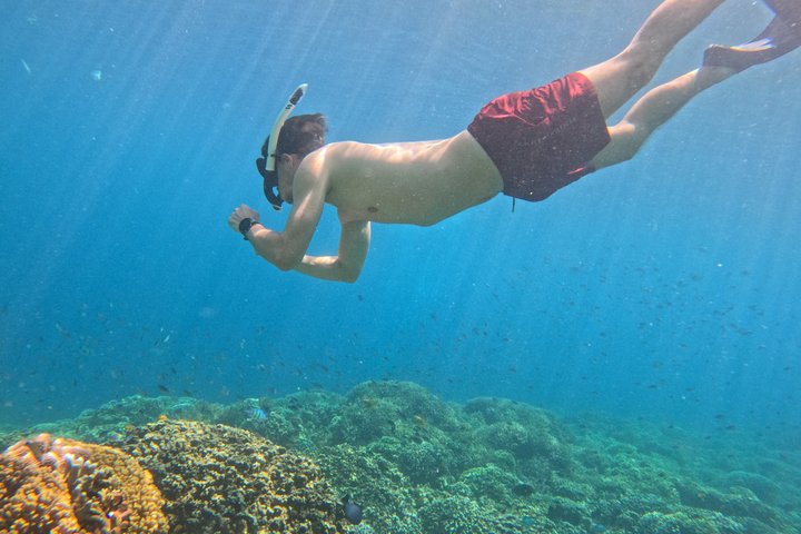 Shared Snorkeling Adventure to Menjangan Island Bali