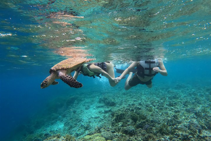 Shared Snorkeling Adventure to Menjangan Island Bali