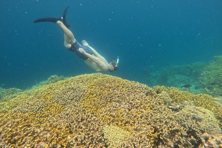 Shared Snorkeling Adventure to Menjangan Island Bali