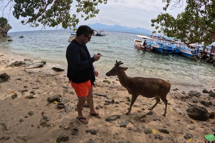 Shared Snorkeling Adventure to Menjangan Island Bali