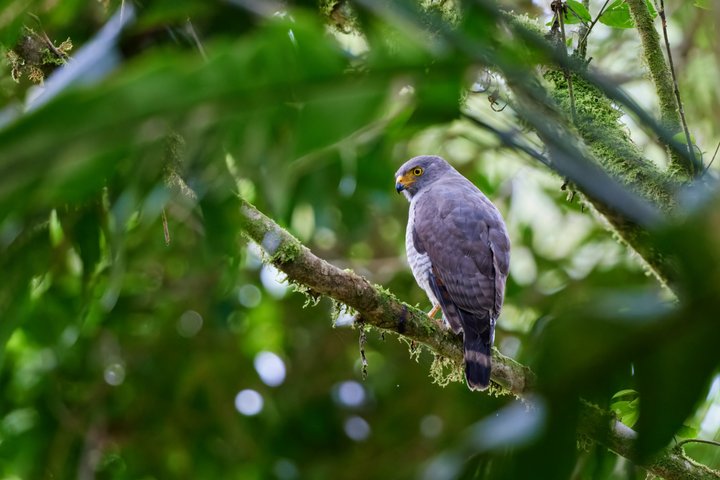 Sandakan 3 Day Borneo's Wild Frontier Dormitory Lodge