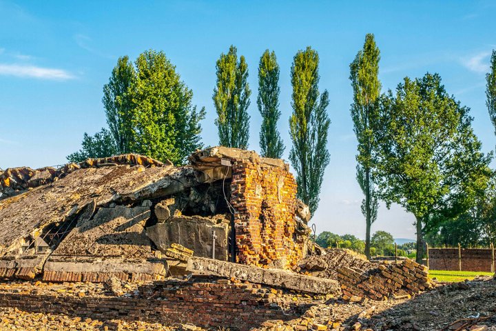 Oswiecim Auschwitz-Birkenau Museum with Audio Guide No Ticket