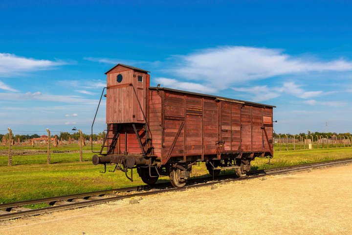 Oswiecim Auschwitz-Birkenau Museum with Audio Guide No Ticket