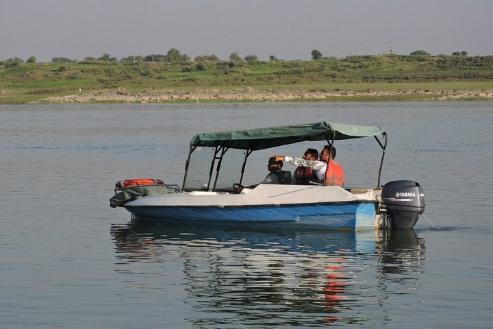 Half Day Chambal River Safari Tour from Ranthambore