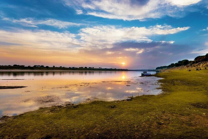 Half Day Chambal River Safari Tour from Ranthambore
