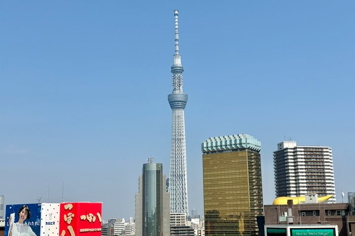 Tokyo Private Half-Day Highlights Tour by Car with Guide