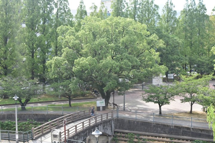 Nagasaki Top Sites Tour
