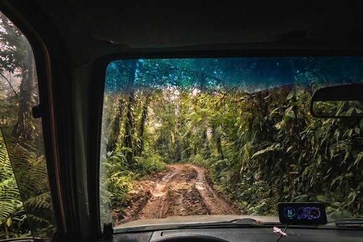 Mindo Cloud Forest Private Tour: Chocolate, Coffee, Birds, Nature