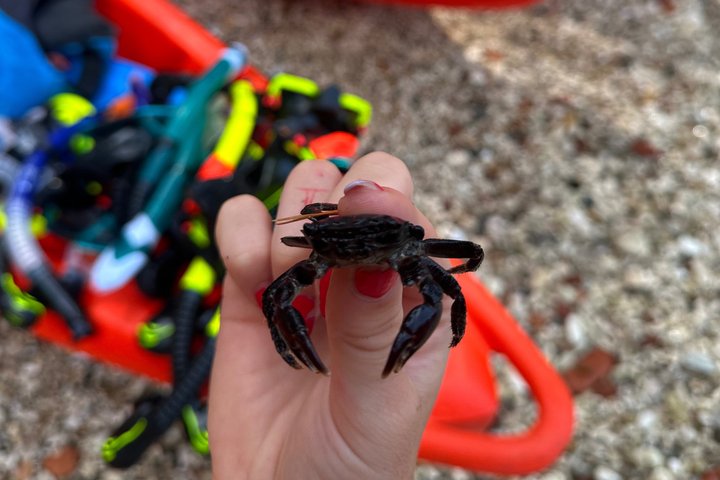 BUBA-Kayak Tours Rovinj FREE-drinks,pictures,snorkeling equipment