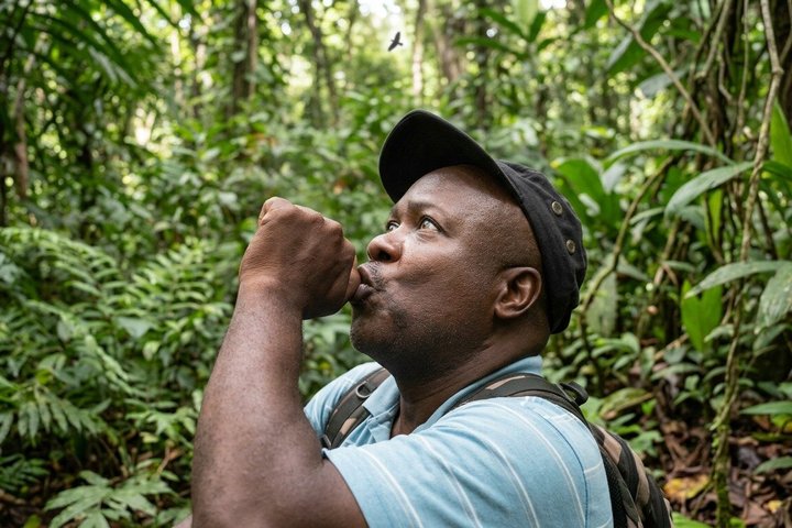 Bird Watching Tour with the Montserrat's 'Bird Whisperer'