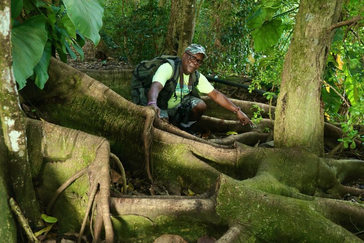 Katy Hill (Extreme) Hike with Award-Winning Guide
