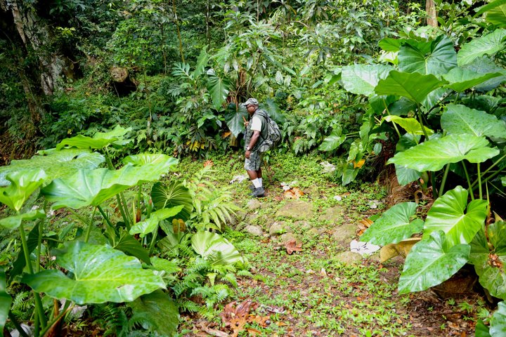 Katy Hill (Extreme) Hike with Award-Winning Guide