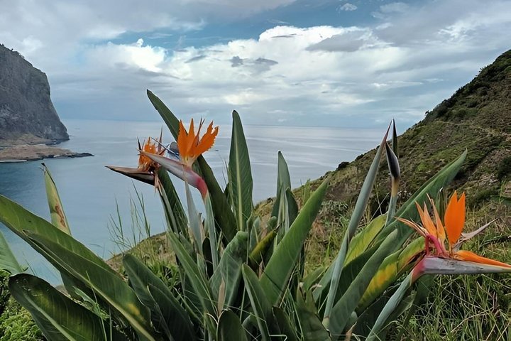 Madeira Larano Cliff Guided Walk