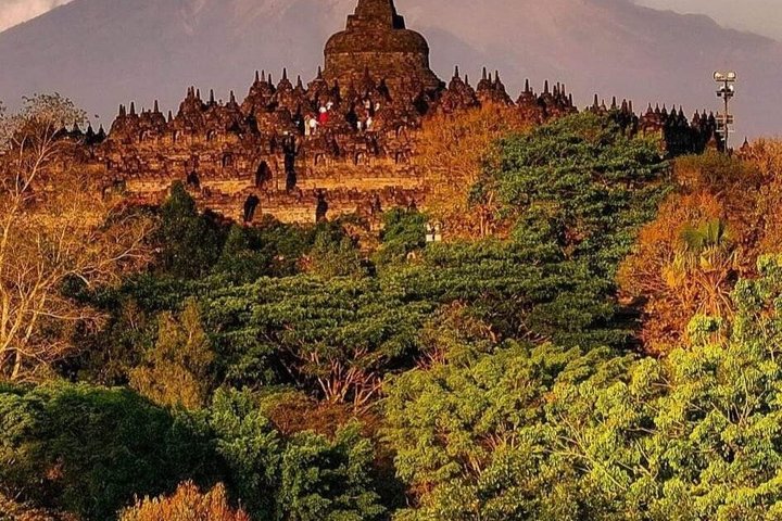 Half day Borobudur temple Climb Up Tour