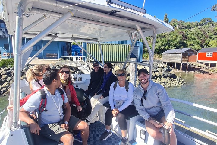 Harbour, Albatross and Wildlife Cruise on Otago Harbour