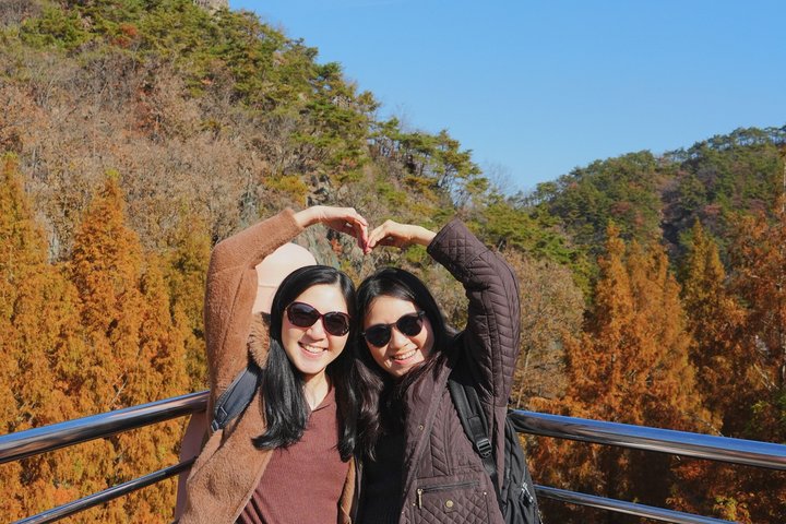Jeonju Hanok Village Full-Day Tour: Jangtaesan Green Forest