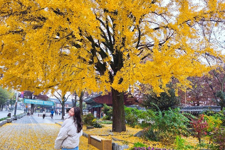 Jeonju Hanok Village Full-Day Tour: Jangtaesan Green Forest