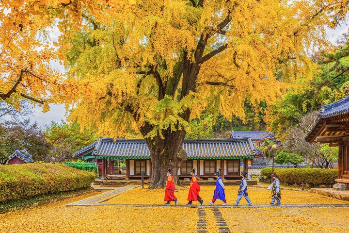 Jeonju Hanok Village Full-Day Tour: Jangtaesan Green Forest