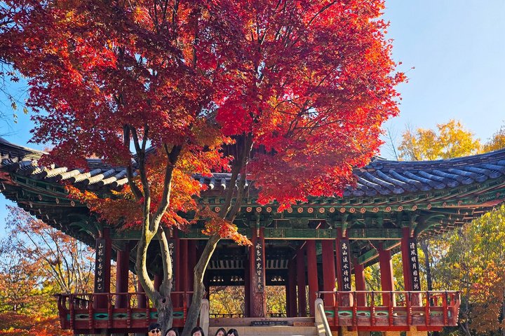 Jeonju Hanok Village Full-Day Tour: Jangtaesan Green Forest