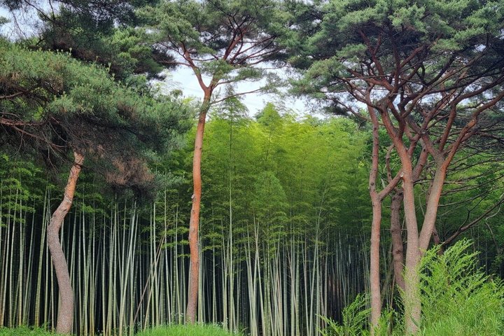 Busan- Private Tour with hidden tourist attractions