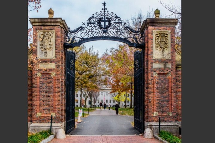 Boston/Cambridge: Walking Tour Harvard & MIT: The Genius Belt