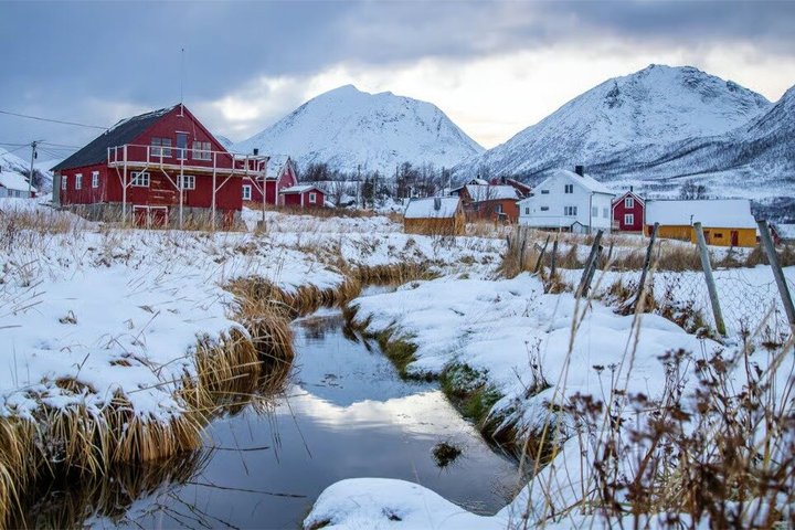 Tromsø: Arctic Fjord Trip to Sommarøy with Scenic Picnic & Photo