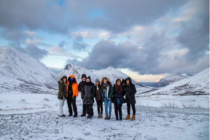Tromsø: Arctic Fjord Trip to Sommarøy with Scenic Picnic & Photo