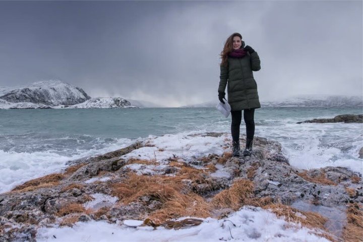 Tromsø: Arctic Fjord Trip to Sommarøy with Scenic Picnic & Photo