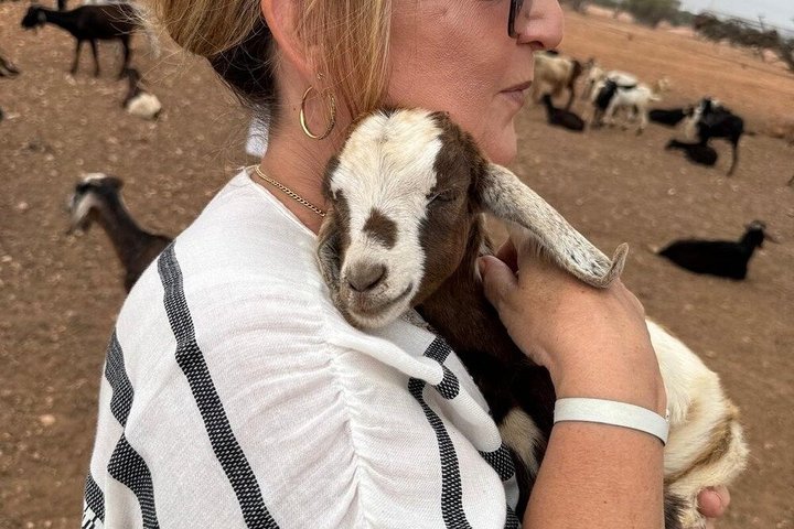 Sunrise Goats in Argan Trees & Agadir Souk Tour