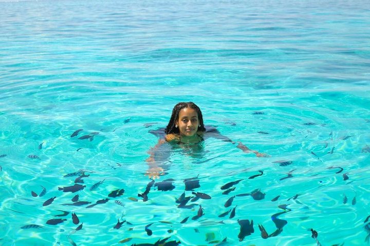 Full-Day Northern Zanzibar Snorkeling, Turtles and Sunset