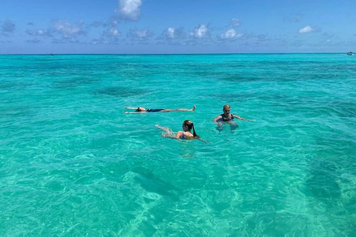 Full-Day Northern Zanzibar Snorkeling, Turtles and Sunset