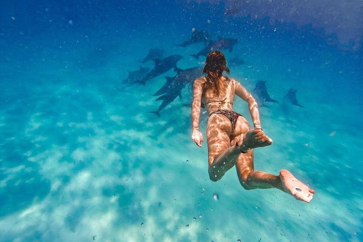 Full-Day Northern Zanzibar Snorkeling, Turtles and Sunset
