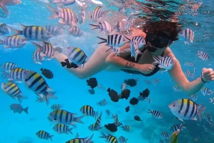 Full-Day Northern Zanzibar Snorkeling, Turtles and Sunset