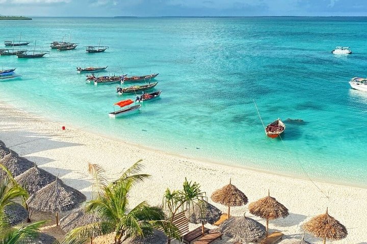 Full-Day Northern Zanzibar Snorkeling, Turtles and Sunset