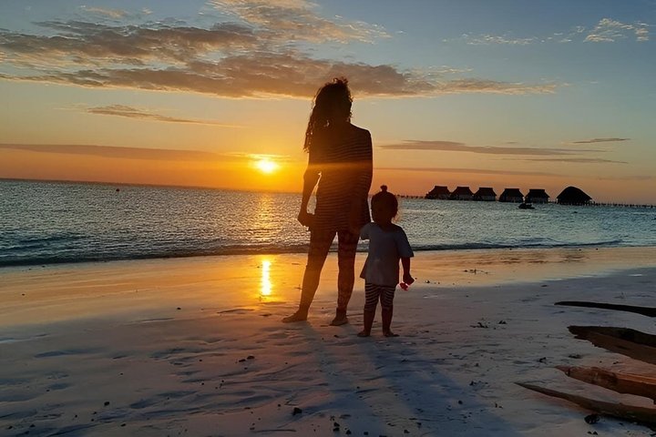 Full-Day Northern Zanzibar Snorkeling, Turtles and Sunset