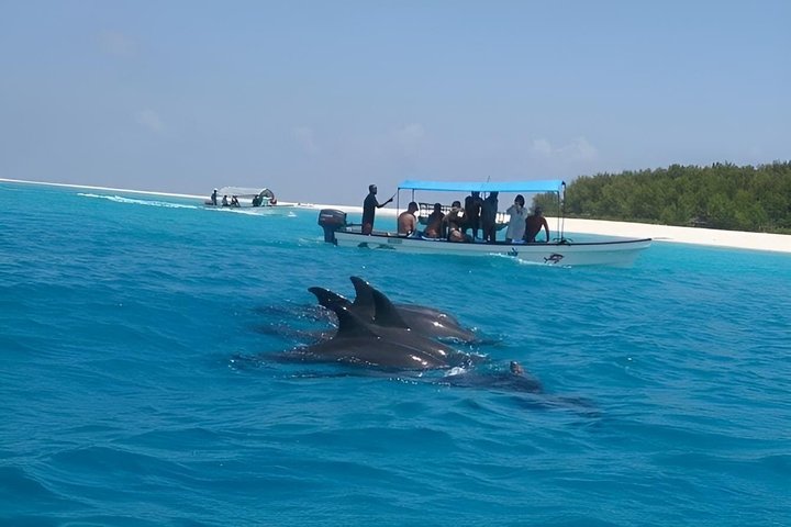 Full-Day Northern Zanzibar Snorkeling, Turtles and Sunset