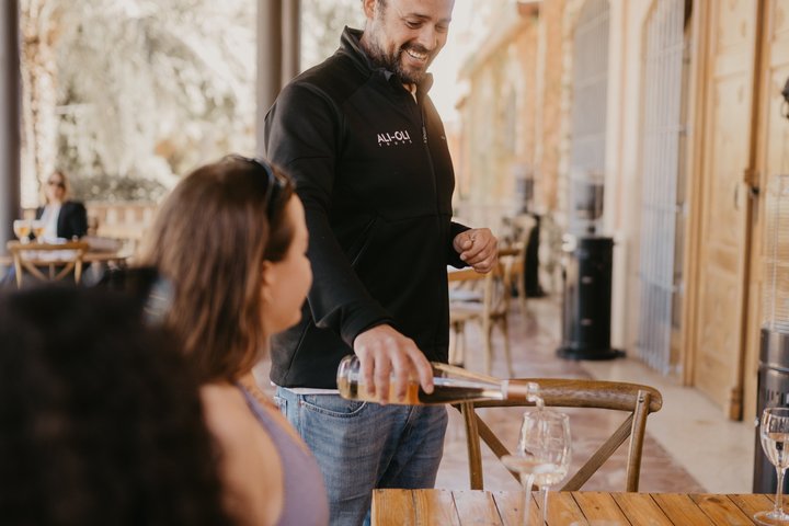 Alicante Winery Small Group Tour with Wine Tasting