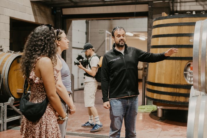 Alicante Winery Small Group Tour with Wine Tasting