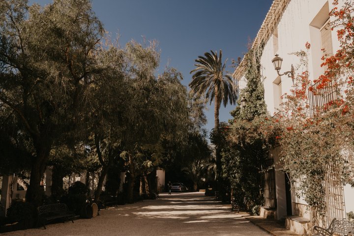 Alicante Winery Small Group Tour with Wine Tasting
