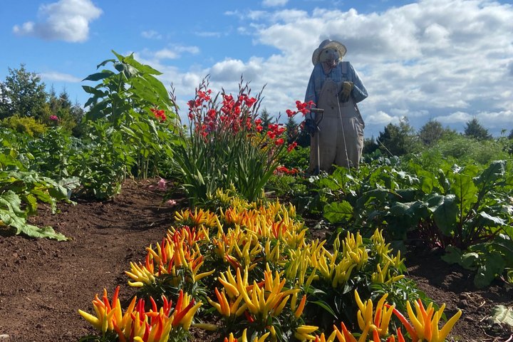Prince Edward Island Private Tour: Culture Costal and Local Life
