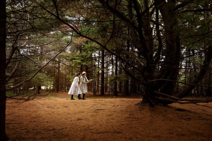 Prince Edward Island Private Tour: Culture Costal and Local Life