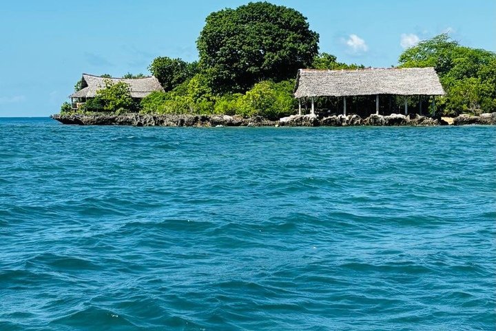 1 Day Wasini Dolphin Tour From Diani Beach
