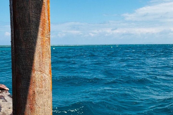 1 Day Wasini Dolphin Tour From Diani Beach