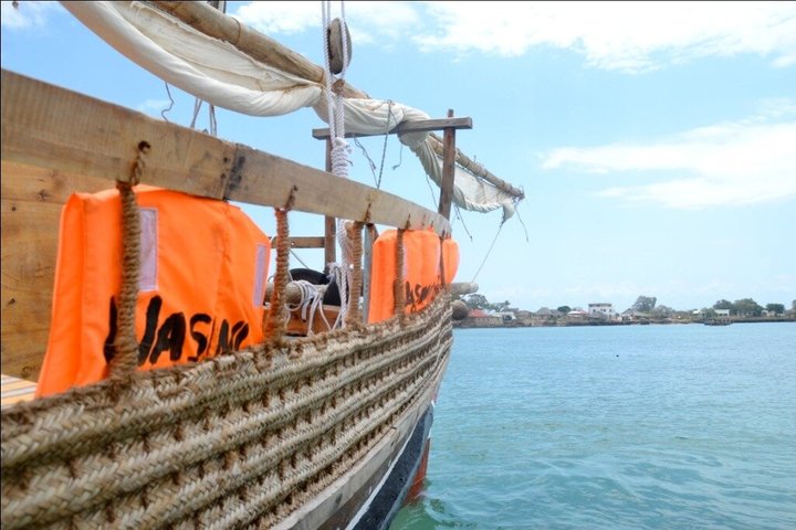 1 Day Wasini Dolphin Tour From Diani Beach